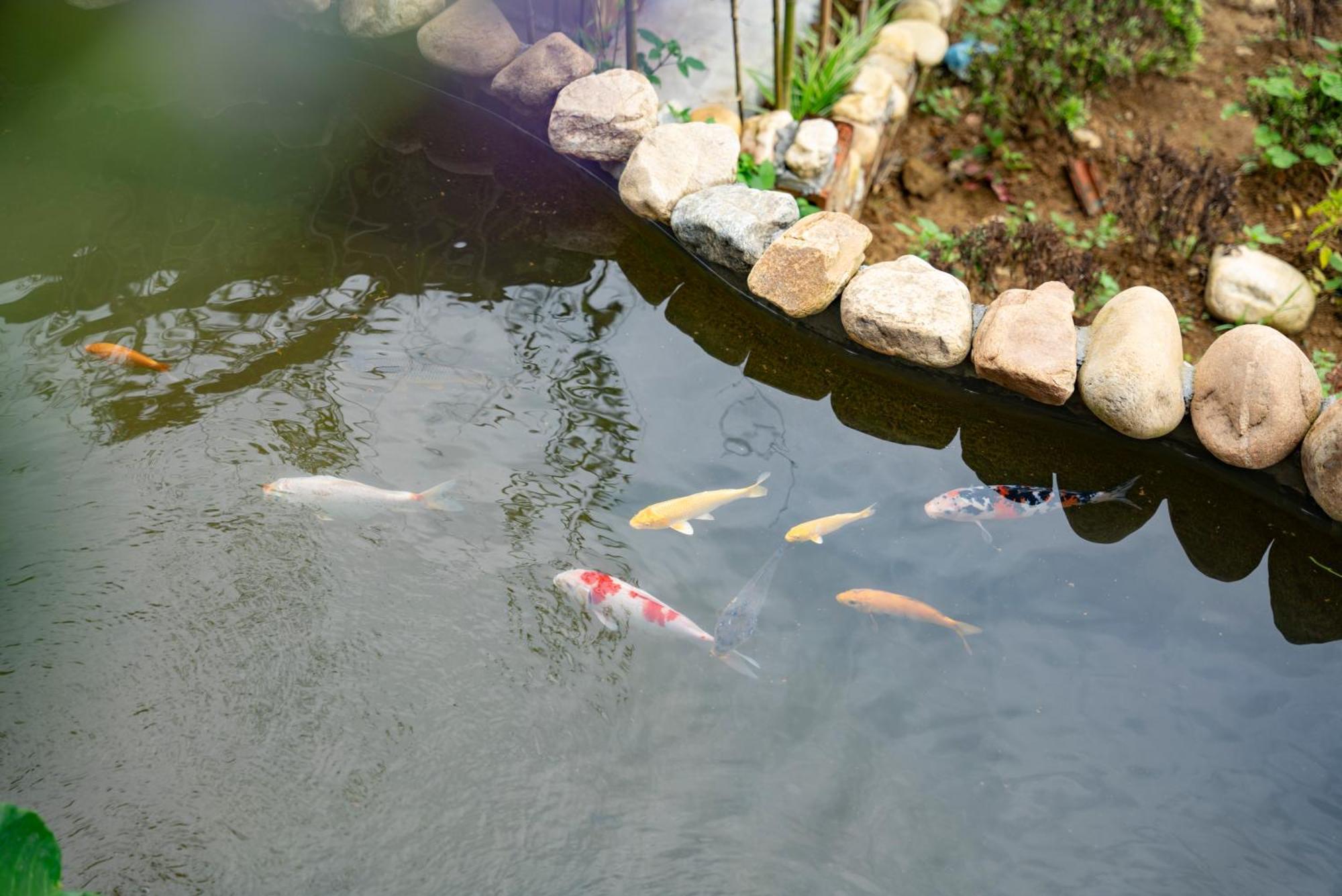 Sapa Farmer House エクステリア 写真